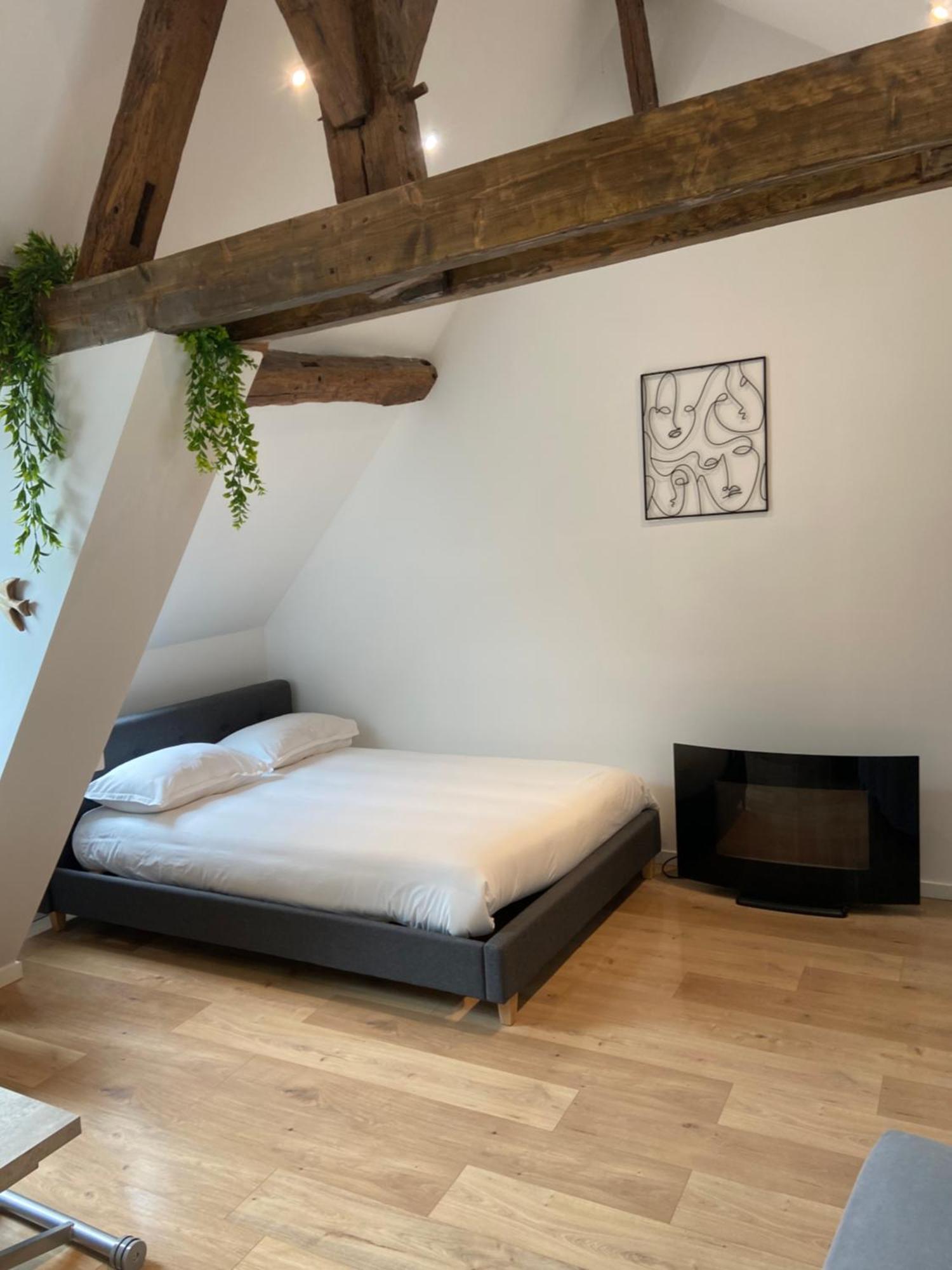 La Champenoise La Tannerie Apartment Troyes Bagian luar foto