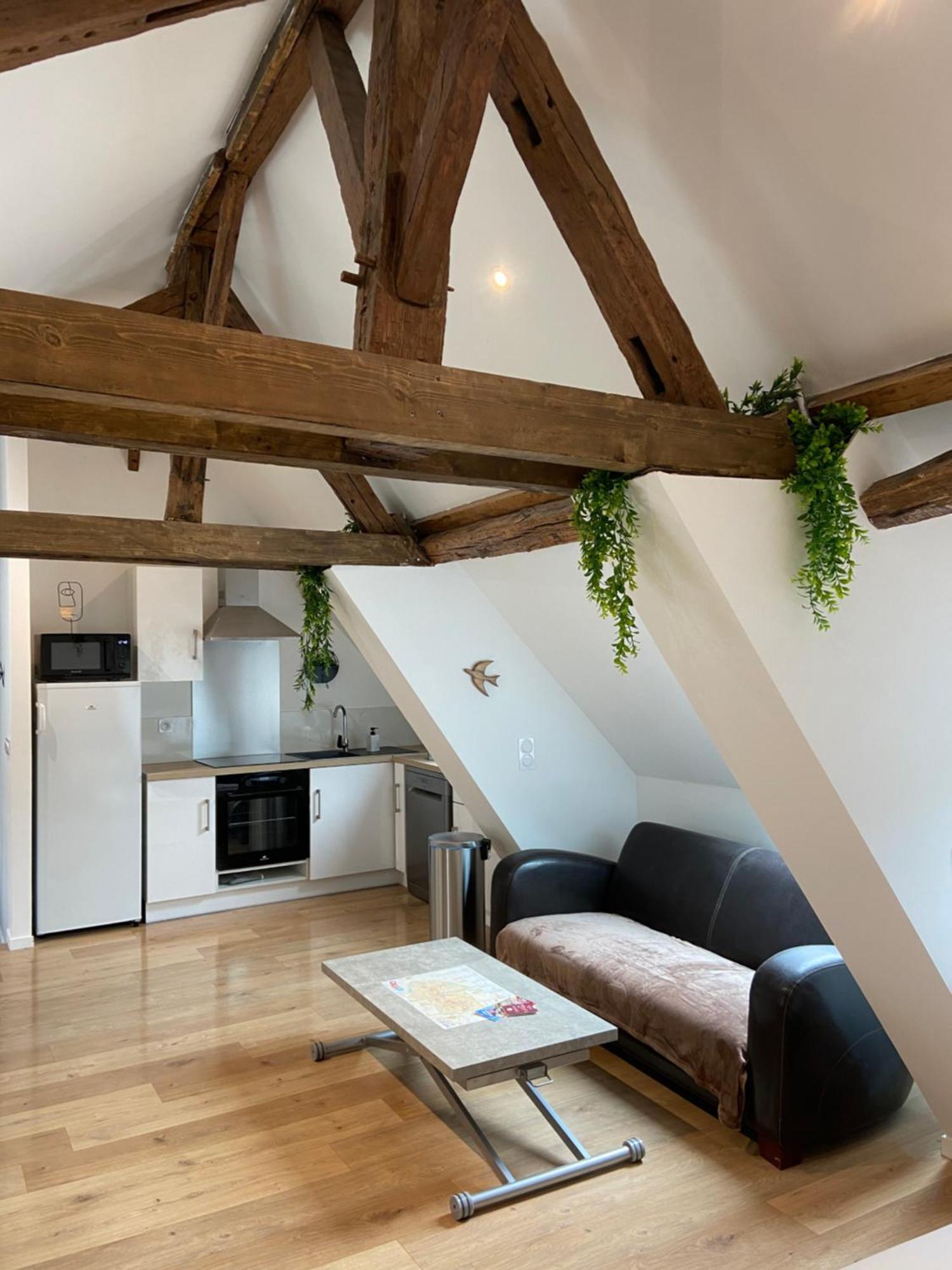 La Champenoise La Tannerie Apartment Troyes Bagian luar foto