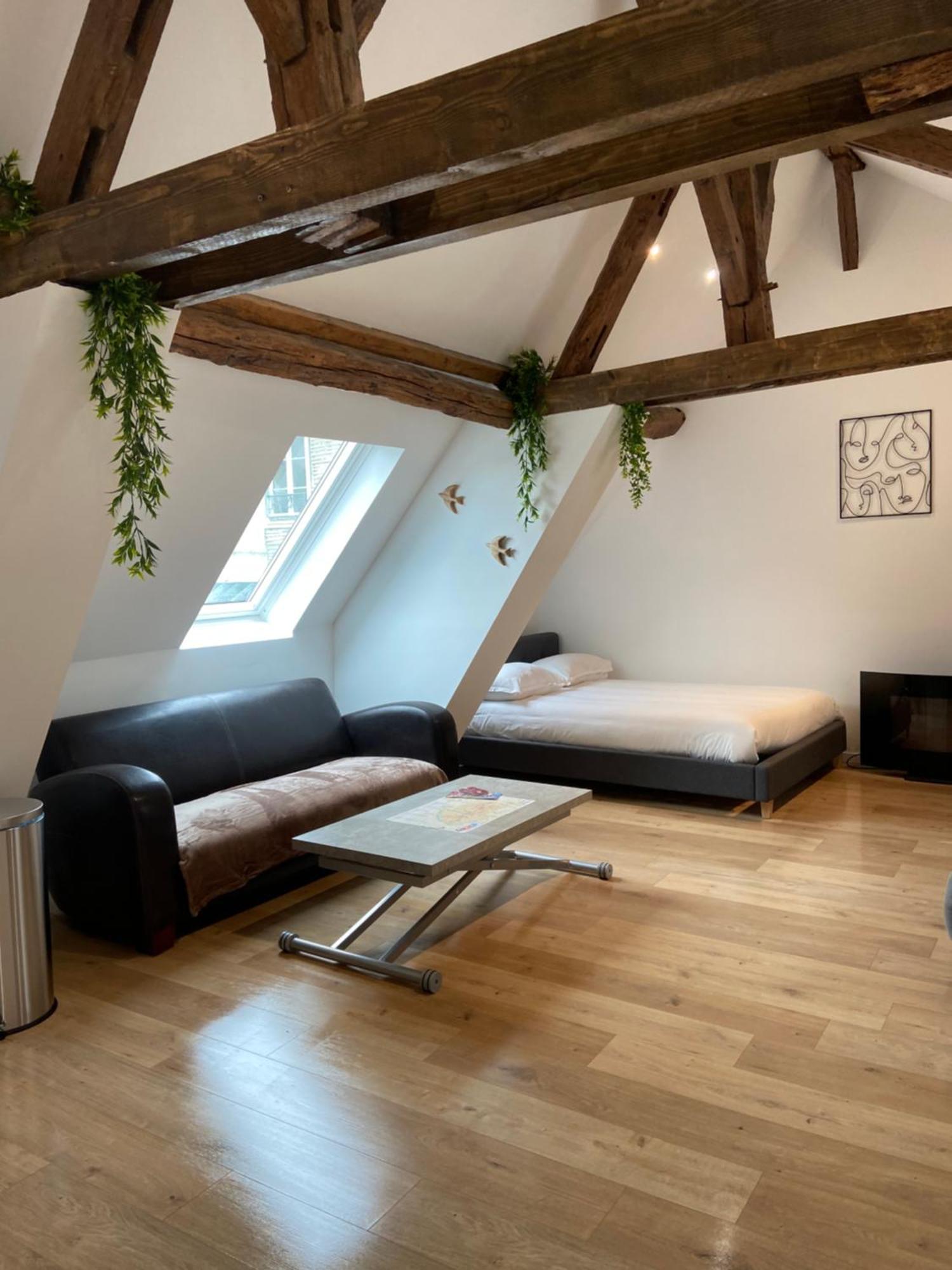 La Champenoise La Tannerie Apartment Troyes Bagian luar foto
