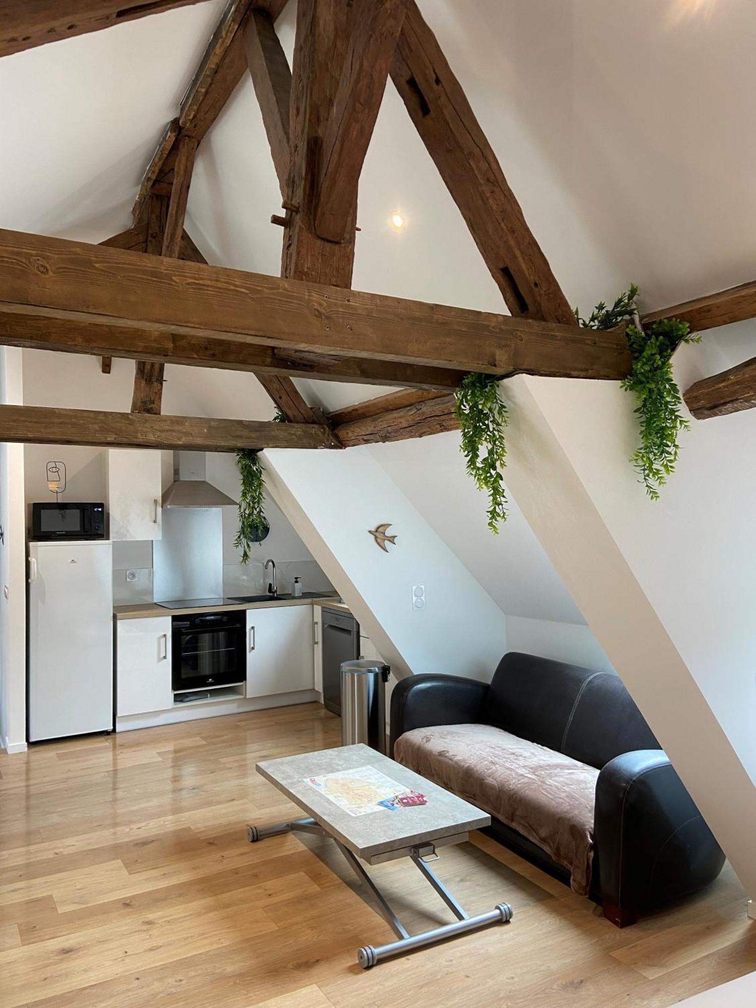 La Champenoise La Tannerie Apartment Troyes Bagian luar foto