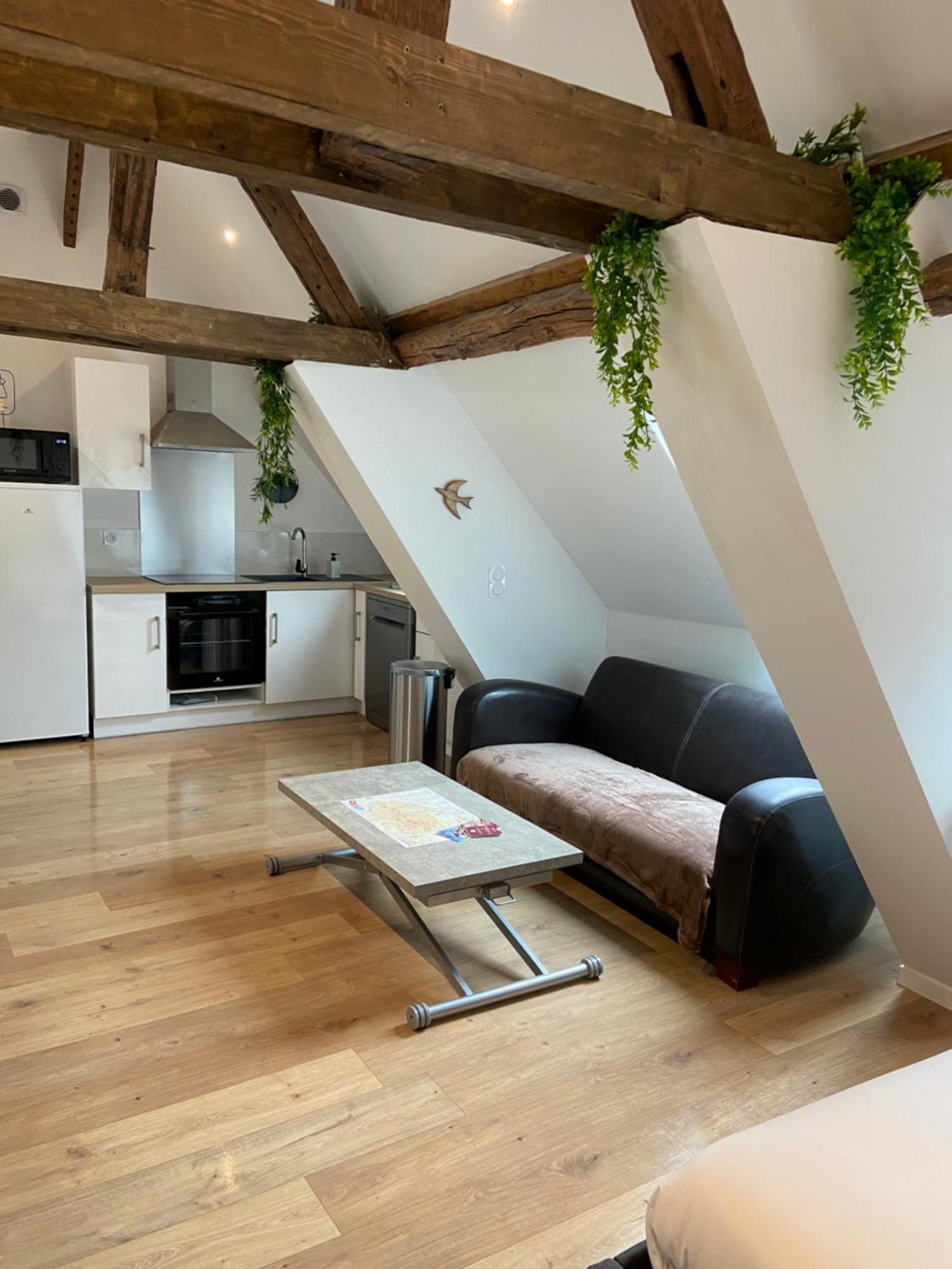 La Champenoise La Tannerie Apartment Troyes Bagian luar foto