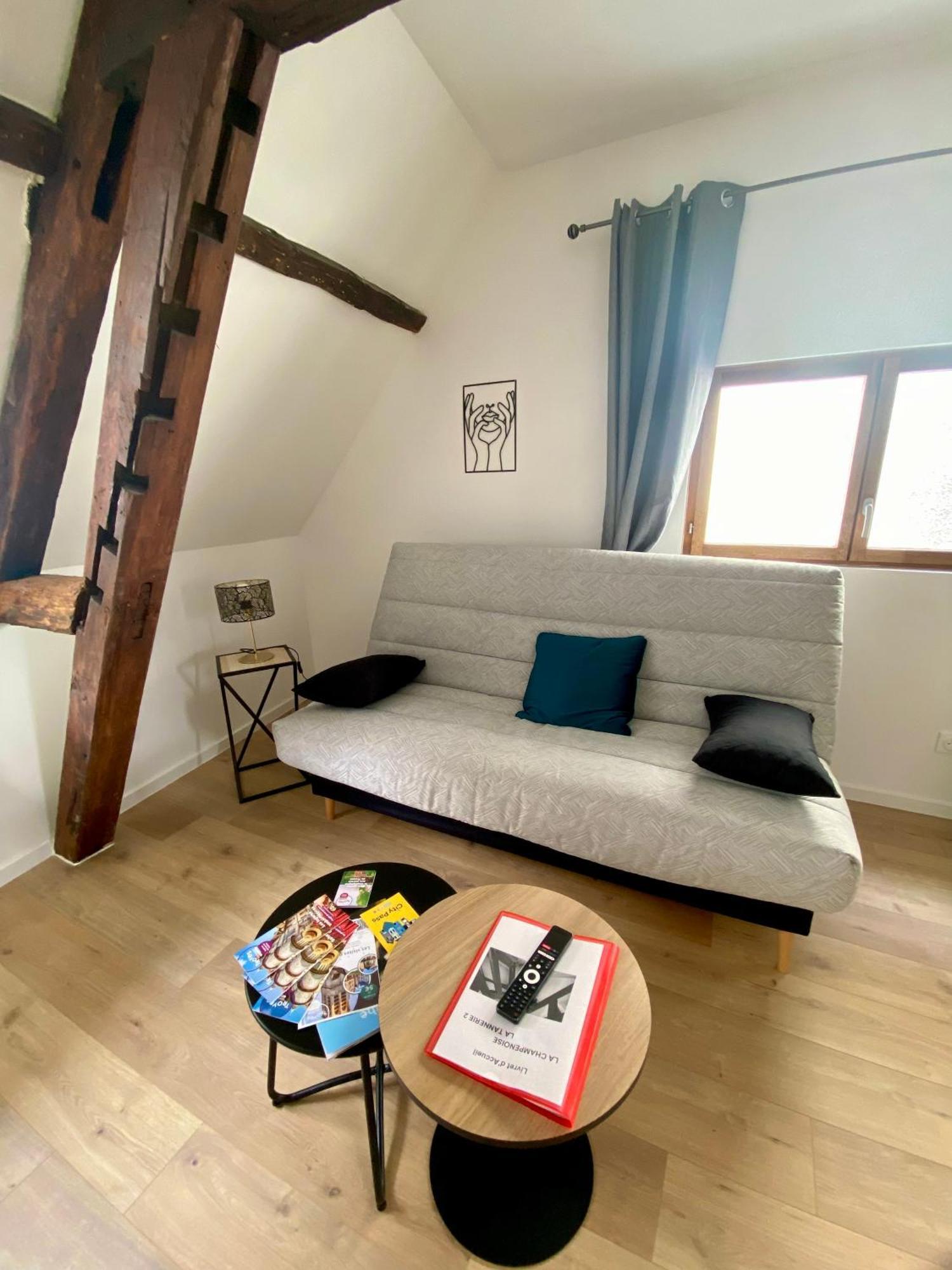 La Champenoise La Tannerie Apartment Troyes Bagian luar foto