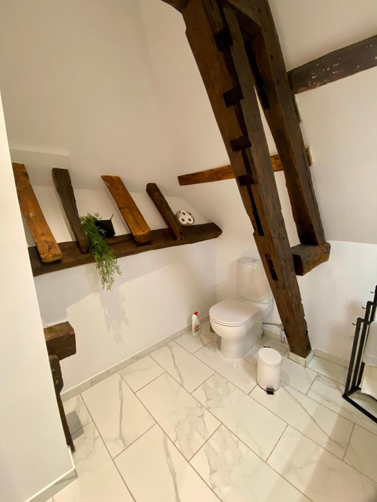La Champenoise La Tannerie Apartment Troyes Bagian luar foto