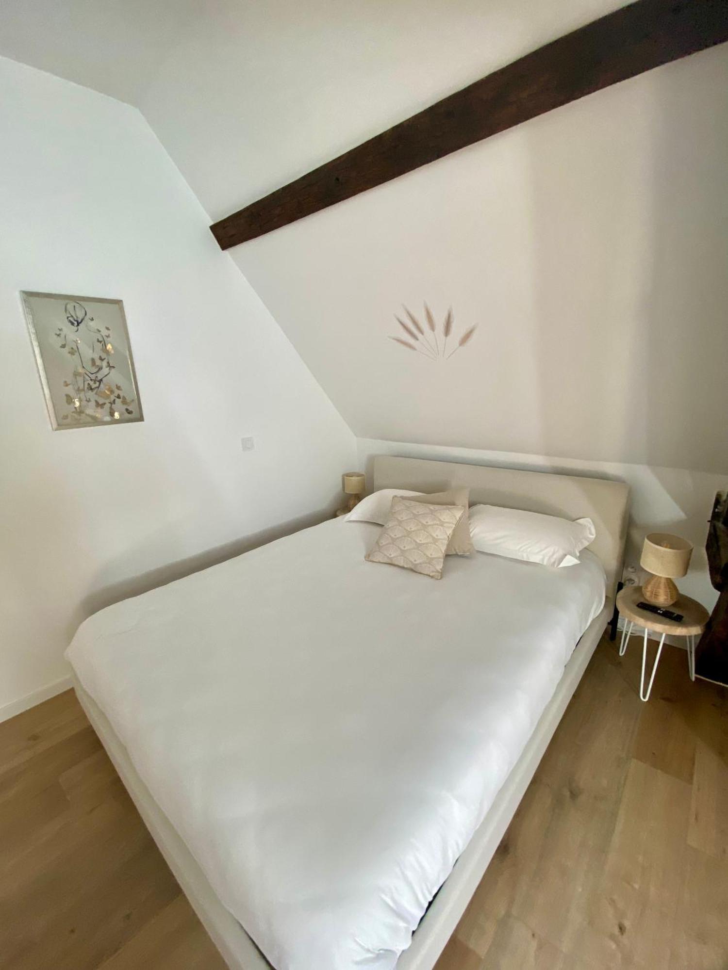 La Champenoise La Tannerie Apartment Troyes Bagian luar foto