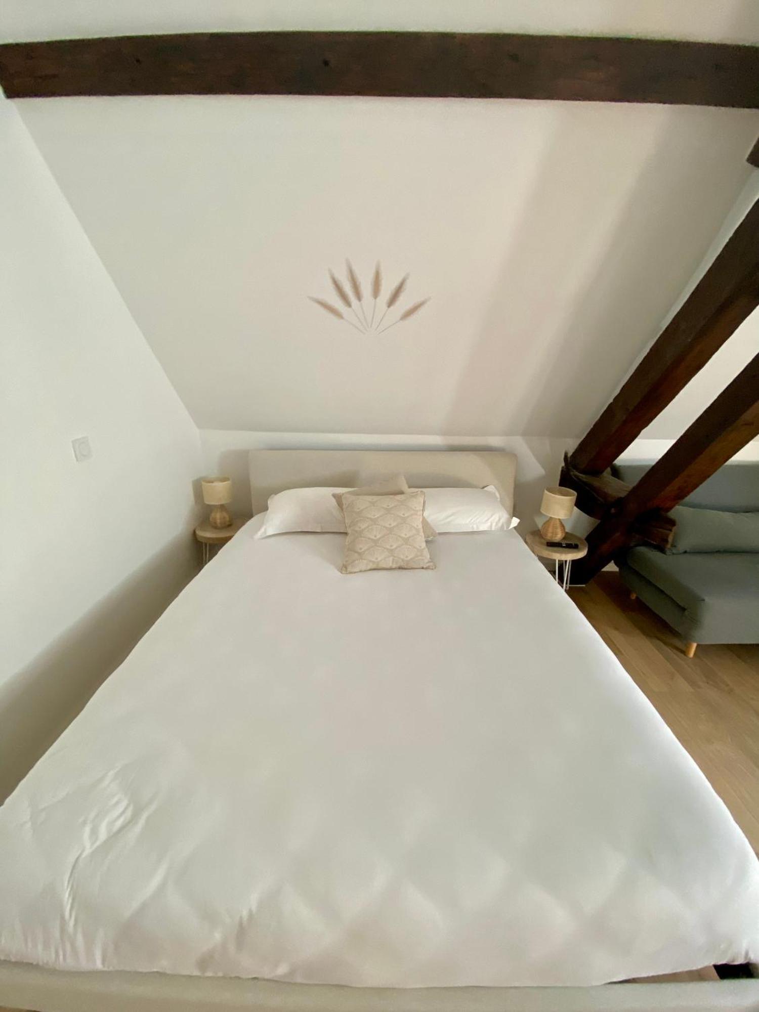 La Champenoise La Tannerie Apartment Troyes Bagian luar foto