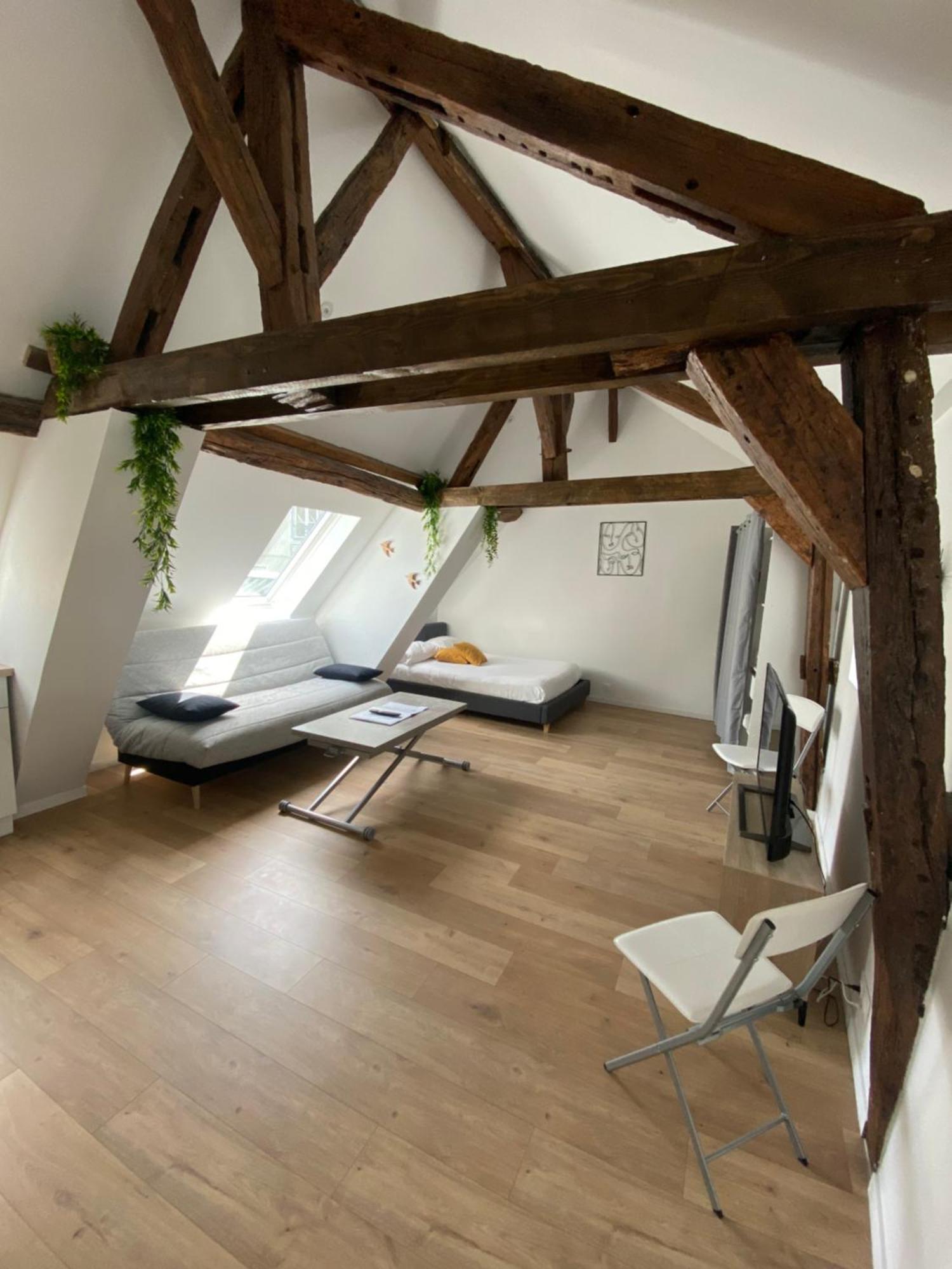 La Champenoise La Tannerie Apartment Troyes Bagian luar foto