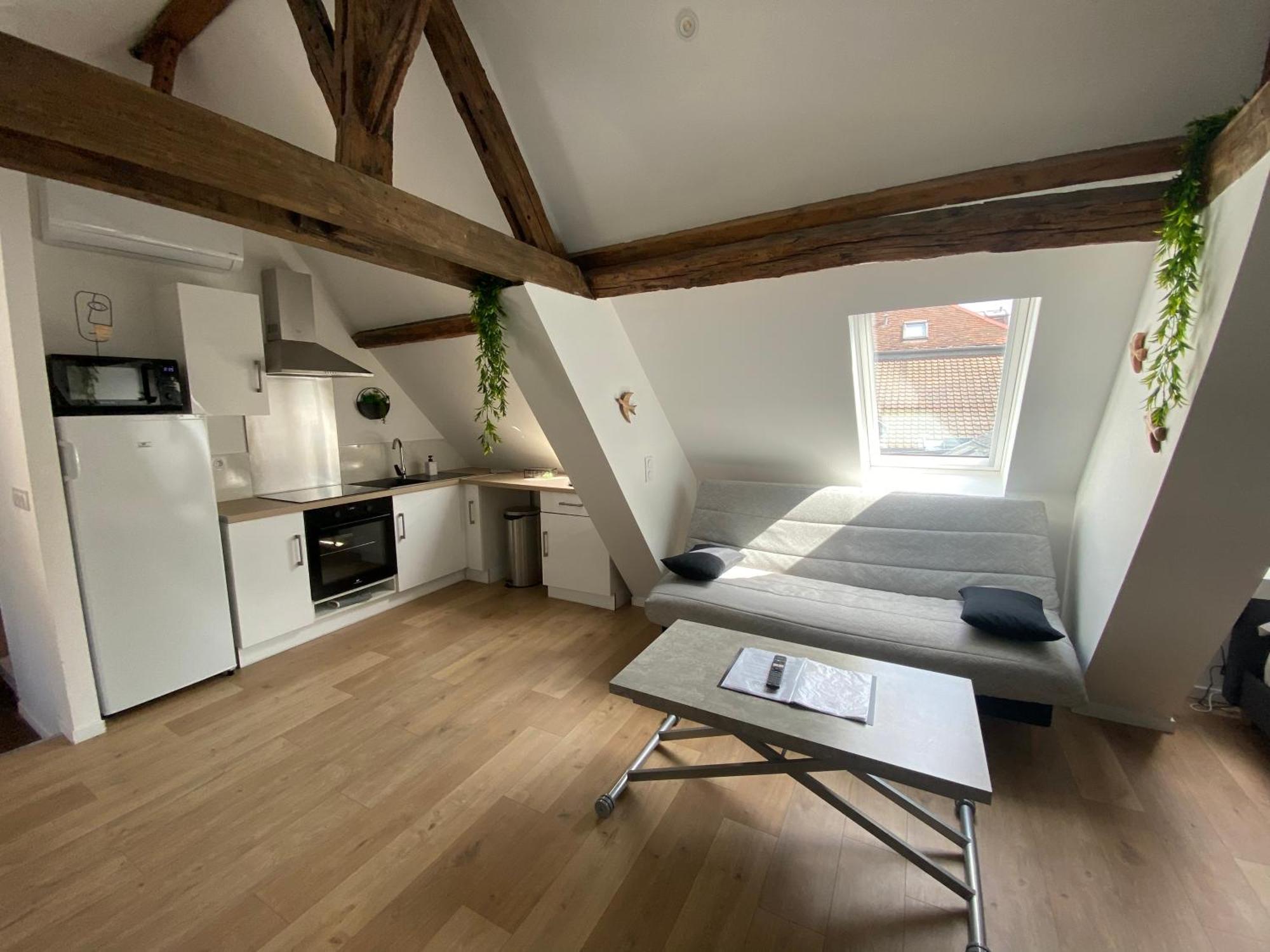La Champenoise La Tannerie Apartment Troyes Bagian luar foto